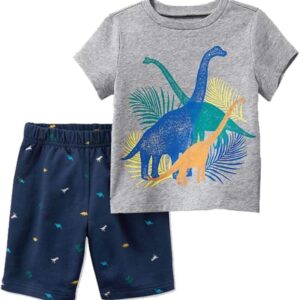 Toddler Boys Cotton Clothing Sets Short Sleeve Tee and Shorts Dinosaur
